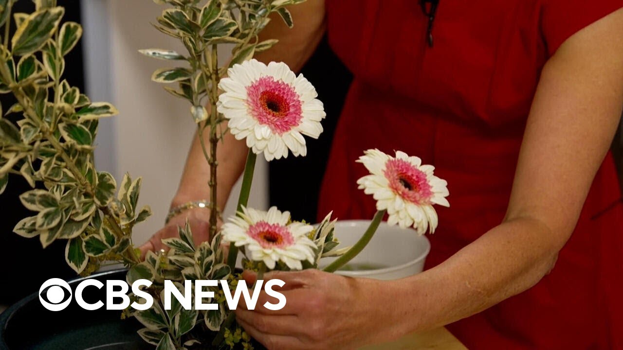 Americans taking up the art of Ikebana, Japanese flower