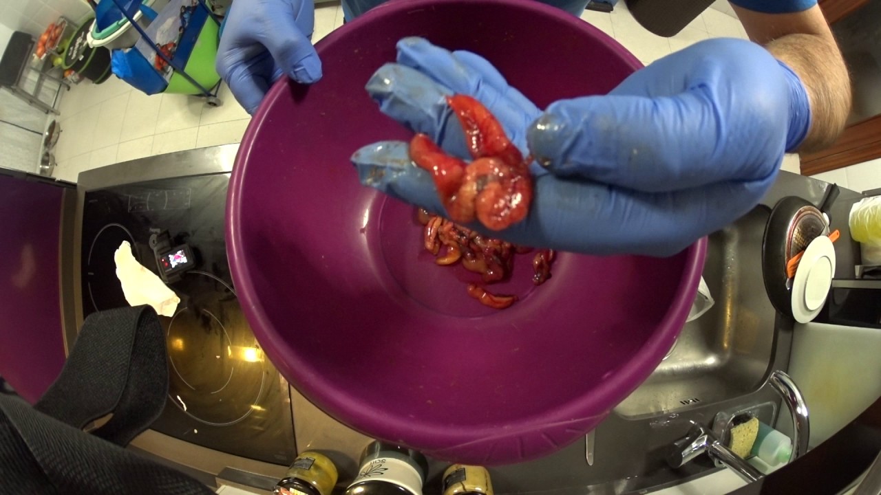 Preparación de la bola (1)