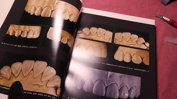 The Ultimate Guide to Tooth Morphology 2 Advance