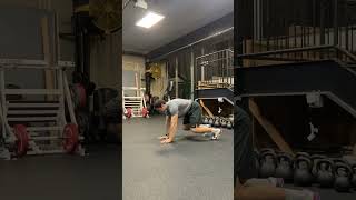 Quadruped Shoulder Taps