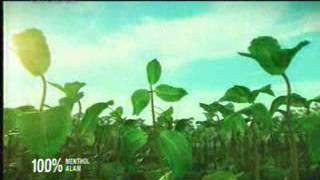 Globaltv La Menthol 22 20 1103