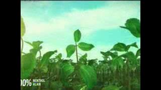 Download lagu Globaltv La Menthol 22 20 (11/03)