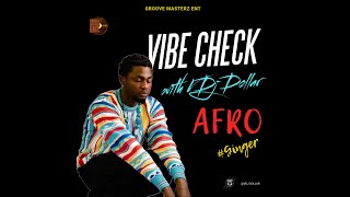 Vibe Check Vdj Dollar Presents The Afrobeats Afro Vibe Mixtape Ft Fave Rema Davido Tems ginger