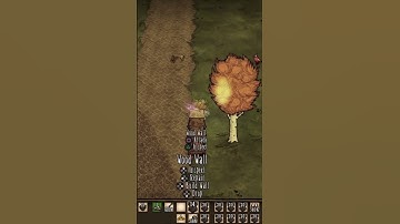 How I build my roads! #dontstarvetogether #kleientertainment #megabase #indiegame #creativegameplay