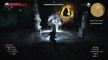 The Witcher 3 Killing The ifrit