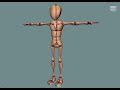 Rigging of a Biped Character: The Creation of the Joints