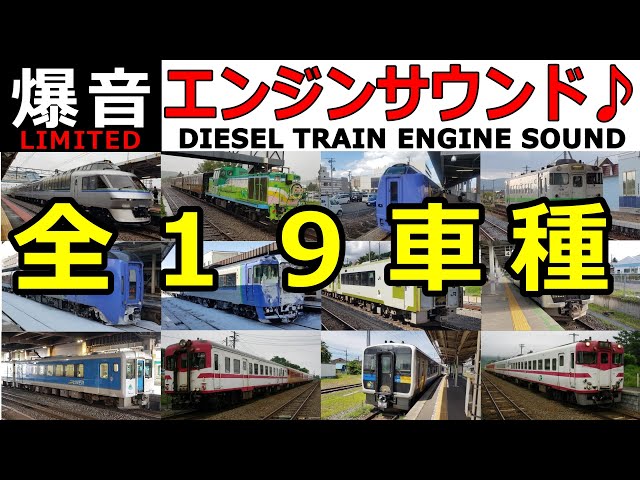 何度聴いても痺れる音 キハ181 1エンジン音聞き比べ Ver 2 Litetube
