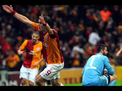 mini mini bir kuş donmuştu Arenaya konmuştu