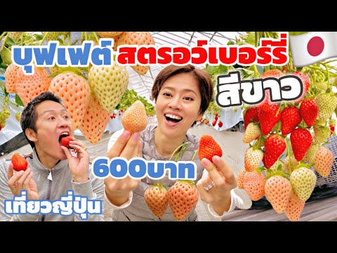 วีดีโอ: สตรอเบอร์รี่สีขาวอร่อยและดีต่อสุขภาพแค่ไหน?