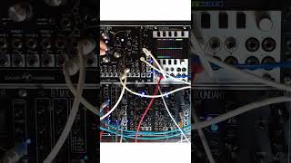 HEAVY PINGS & VINTAGE POLY #eurorack #electronicmusic #modularsynth #synth #synthesizer