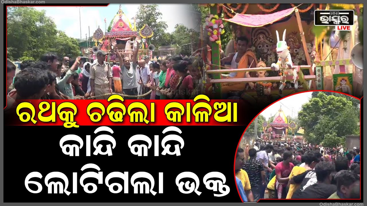 ଭକ୍ତ ଓ ଭଗବାନଙ୍କର ହେଲା ମିଳନ, ଭକ୍ତଙ୍କ ପାଇଁ ଝୁଲି ଝୁଲି ଆସିଲେ କାଳିଆ ସାଆନ୍ତେ ଯାହାକୁ ଦେଖି ଭକ୍ତ....