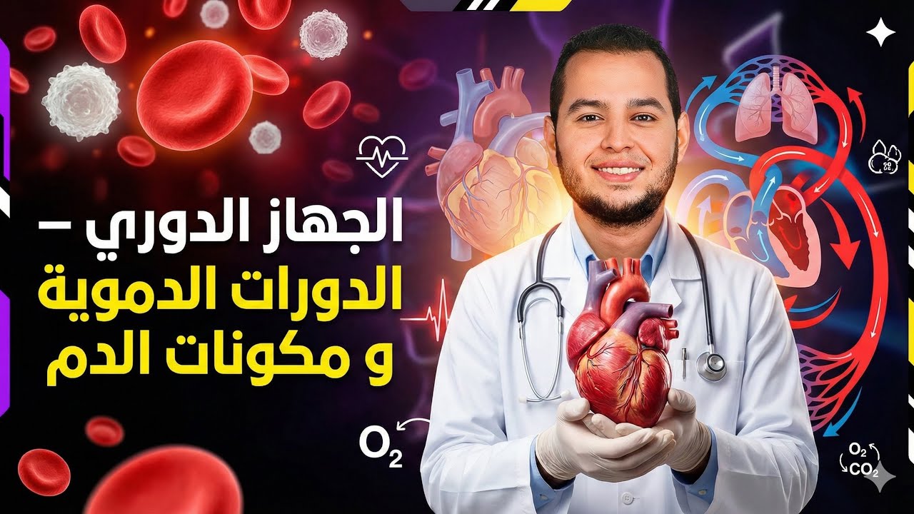 شرح مكونات الدم والدورات الدموية  | النقل في الإنسان | احياء 2 أزهر 2026