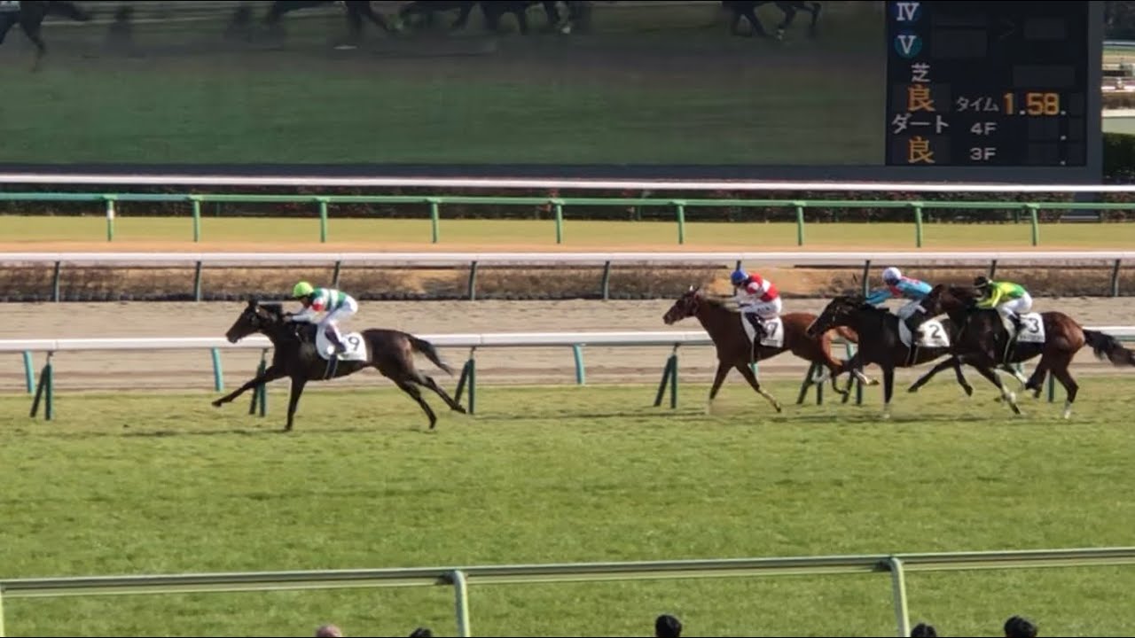 ヘデントール 未勝利戦 現地的中単勝馬券 【公式通販】