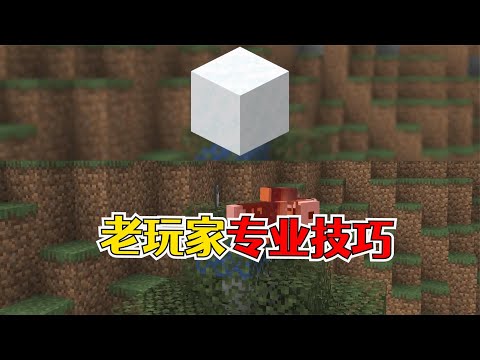 我的世界：老玩家才懂的专业小技巧，落地水换成落地雪