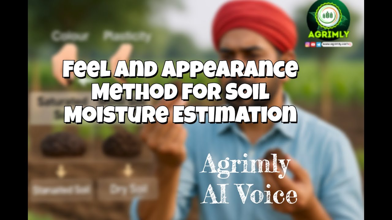 Feel and Appearance Method for Soil Moisture Estimation - Agrimly AI Podcast