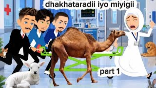 Sheeko gaaban:dhakhadardii iyo miyigii part 1