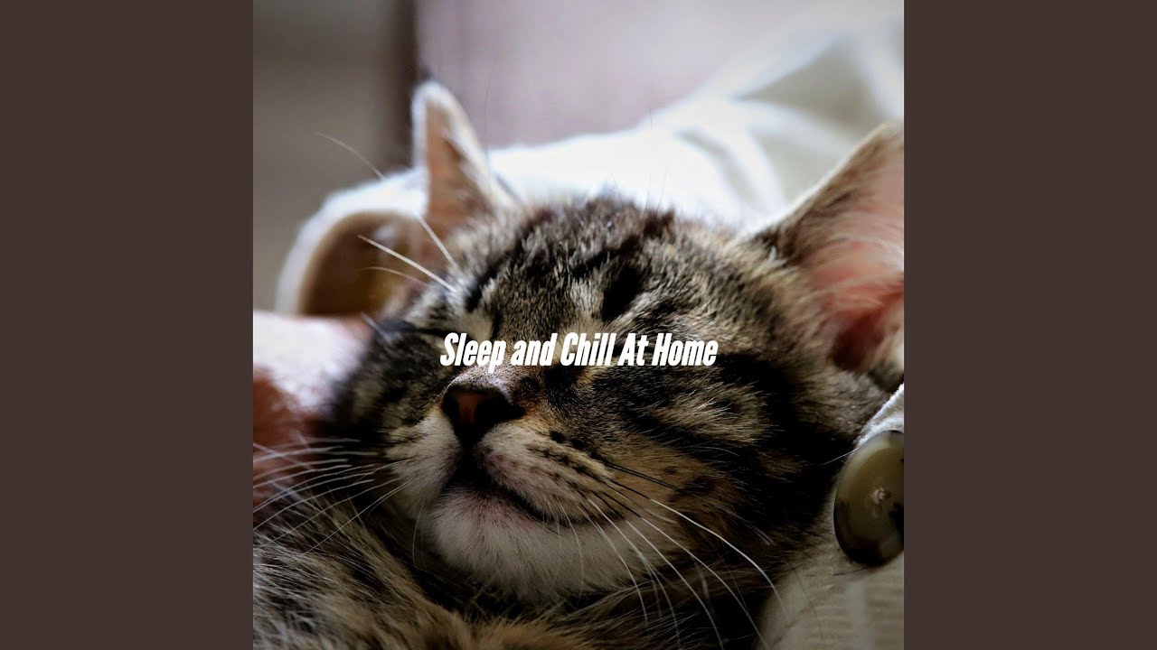 High-class Waltz - Vibe for Spring Passages