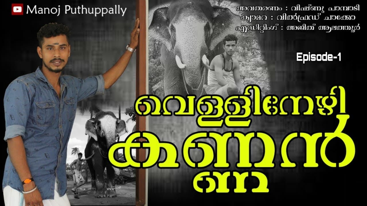 ആശാന്മാരുടെ അരുമ ശിഷ്യൻ | യുവചട്ടക്കാരിലെ അഗ്രഗണ്യൻ | വെള്ളിനേഴി കണ്ണൻ | Vellinezhi Kannan#interview