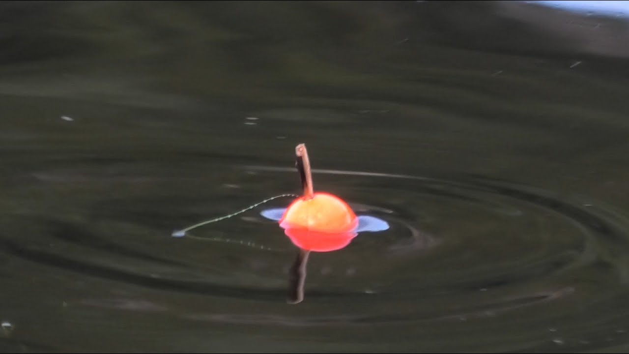 ЛОВЛЯ ТРЕСКИ В УСТЬЕ ПРЕСНОЙ РЕКИ / COD FISHING AT THE MOUTH OF A FRESH ...