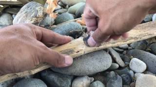 No-knife hand drill fire 2