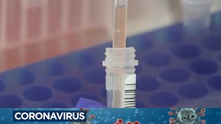 Cybersecurity expert warns against purchasing fake negative COVID-19 PCR test results