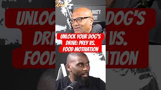 Unlock Your Dog's Drive: Prey vs. Food Motivation Guest @LOTPDogTraining