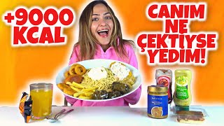 CANIM NE ÇEKTİYSE YEDİM!-Biscoff Krema,Şinitzel,Rus Salatası,Soğan Halkası,Spagetti vs.(+9000 KCAL)