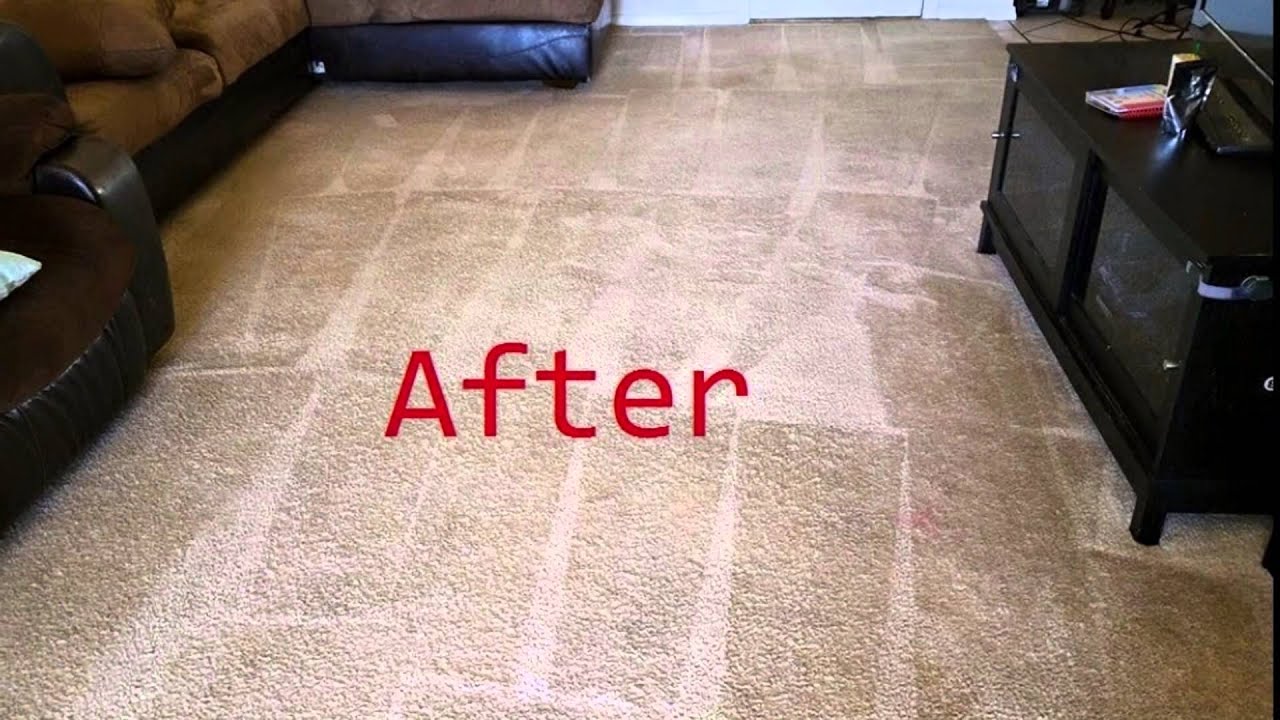 MONSTER CARPET CLEANING EPT YouTube