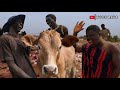 I Bought A Cow from Mundari Tribe & FED The Orphanage In South Sudan!