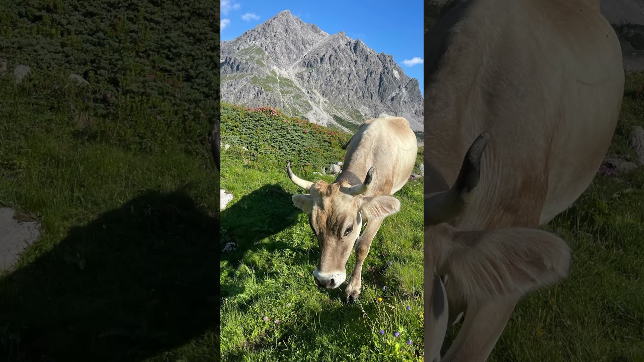 Lünersee Remix 2 - Sound of July 25