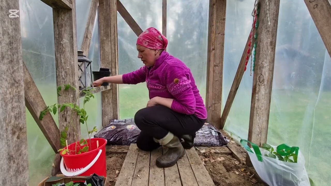 Juurikan rumin kasvihuone saa uuden oven ja kasvit