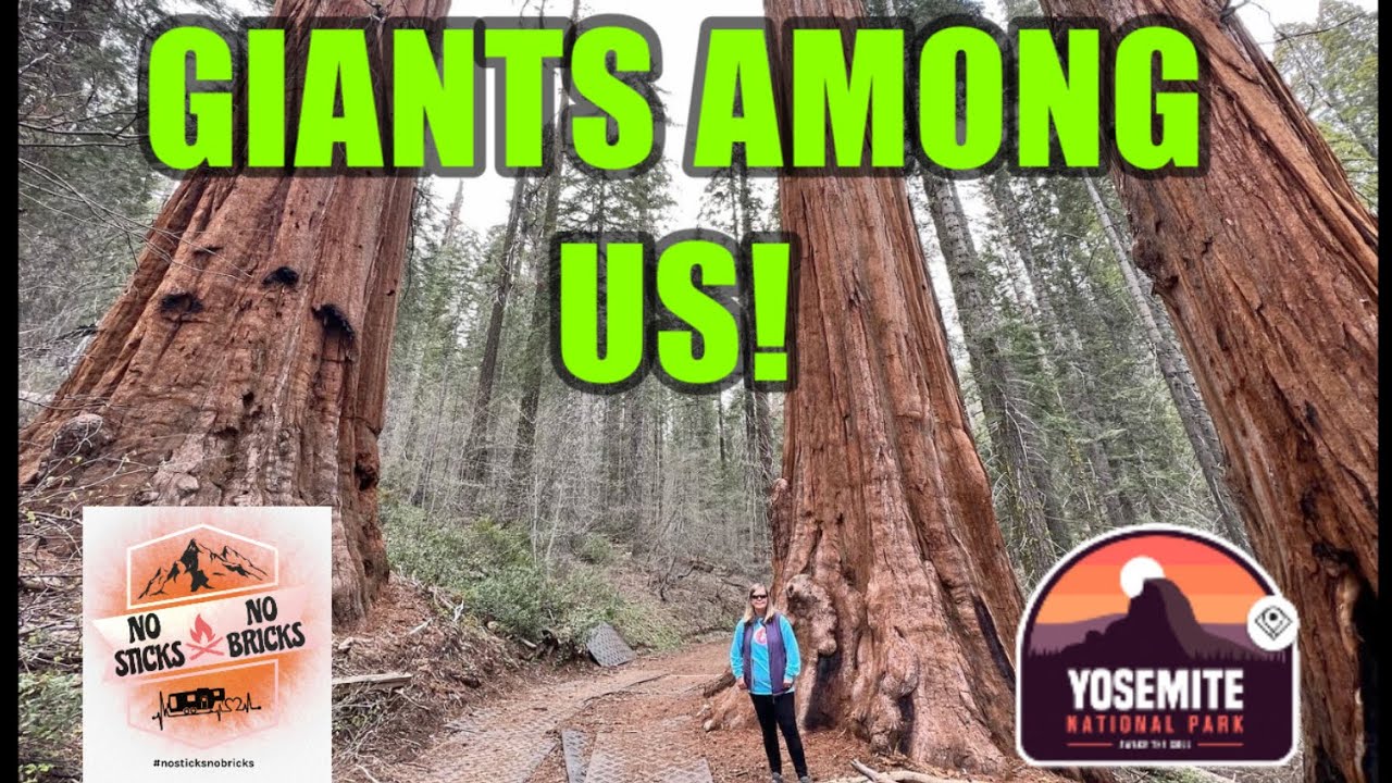 Thousand Trails Yosemite Lakes Responding to Bad Car Crash Fulltime RV Living S1 E21 YouTube