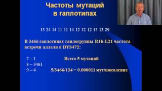 Клёсов А.А. Лекция 8: Константы скоростей мутаций