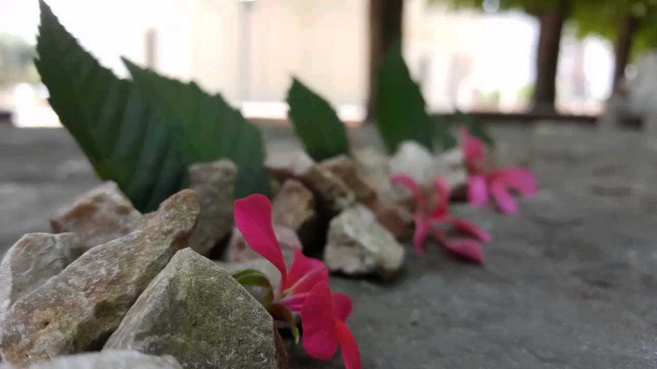 Aranjamente cu frunze si pietre in parc