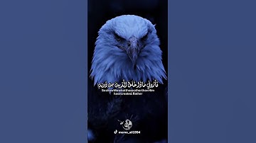 سورة لقمان _ هذا خلق الله #اكسبلور #القران #دويتو #duet #راحة_نفسية