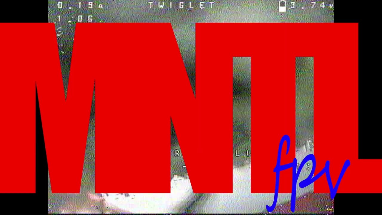 Racer-X Twiglet 2S 1103 11000KV FPV Freestyle