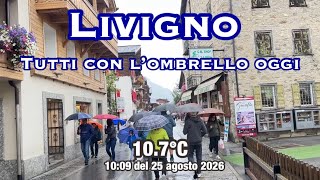 Livigno oggi ☔️ Tutti con l’ombrello | #livigno #livignotoday #webcamlivigno #livelivigno