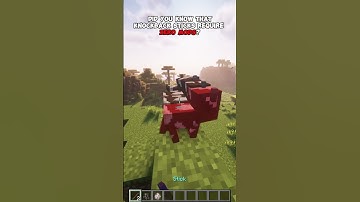 How to make a knockback stick in minecraft 1.21+ #minecraft #minecraftshorts #minecrafttips