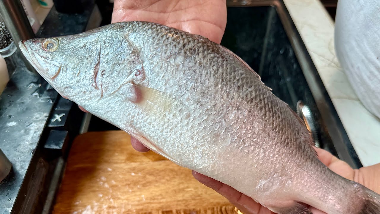 COOKING FOODS COMPILATION, FISH SEA BASS, BEEF GARLIC RICE, SHRIMP SPAGHETTI TOMATO, SALAD, STIR FRY