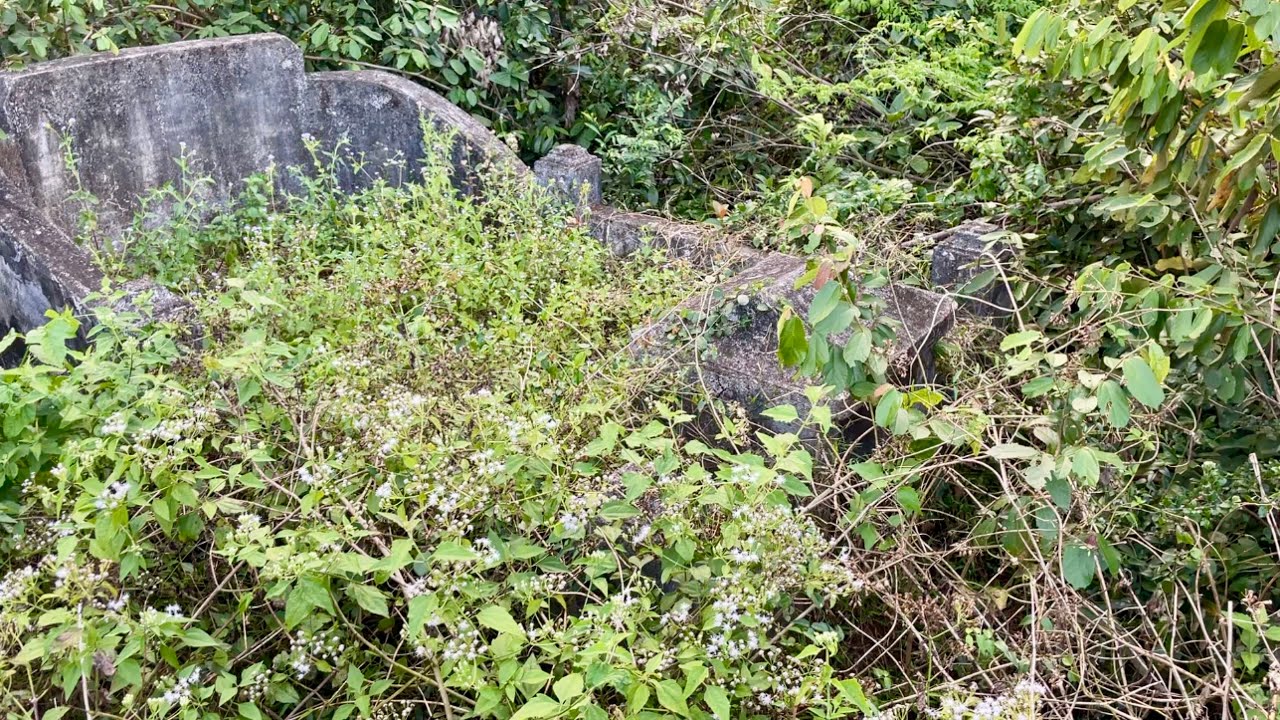 I'm so sorry I couldn't clean everything up because I was bitten by so many insects and mosquitoes.