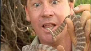 Steve's Story (Extended Version) Part 1