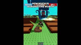 How Much Is Aurora Vine Worth?