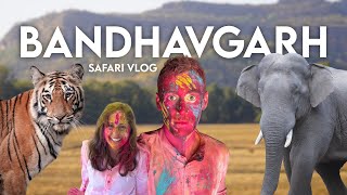 Banghavgarh Safari VLOG: Tigers, Elephants, Holi Festival (India Luxury Travel)