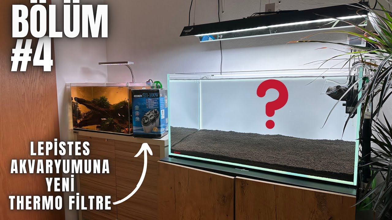 BİTKİLİ LEPİSTES AKVARYUMUNDA DEĞİŞİKLİK ! #akvaryum #aquascape #bitkiliakvaryum