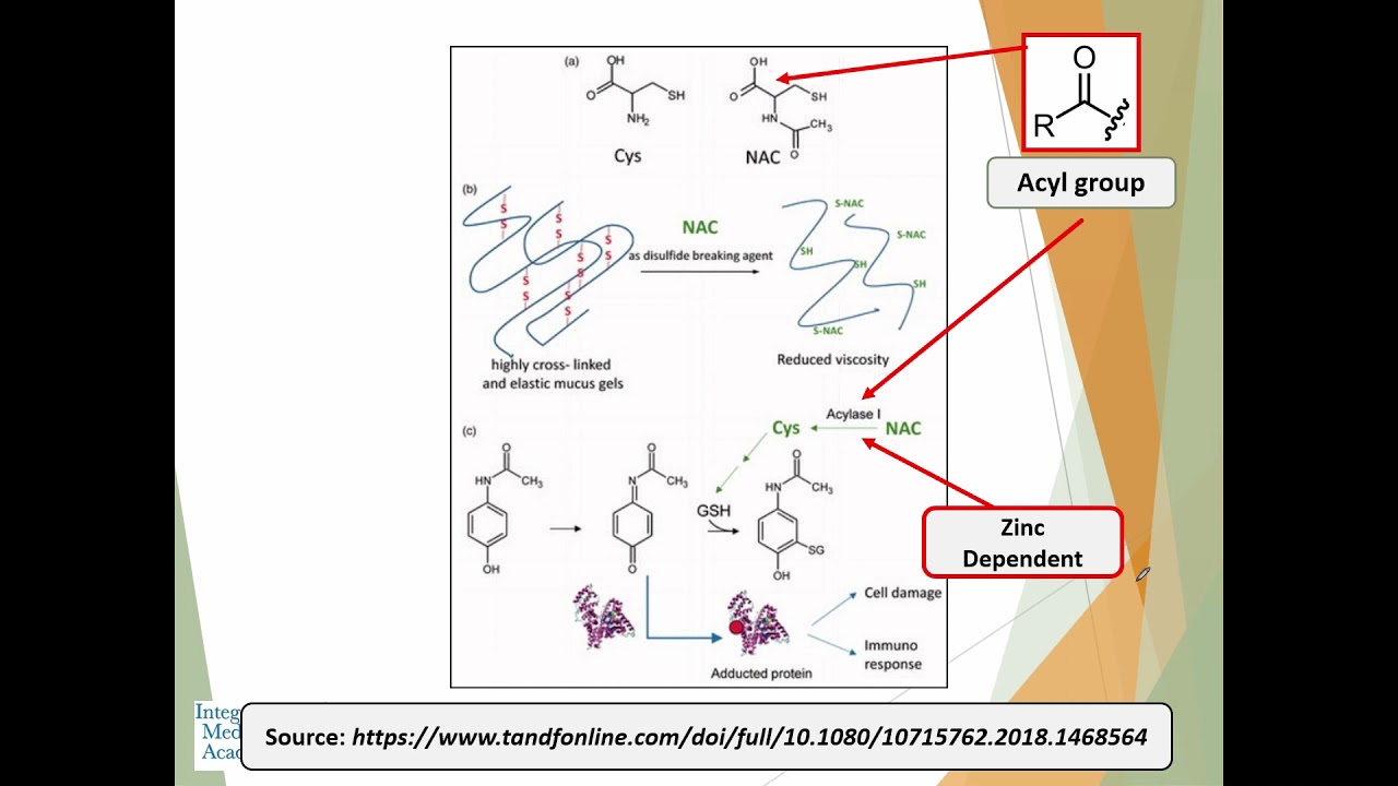 Advanced Topics in Organic Acids Interpretations - Integrative Medicine Academy
