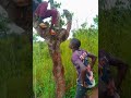 UTACHEKA DOGO NGULO #comedy #lifeisbutadream clam vevo #ihavethisthingwithplants Steve mweusi