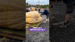World's Biggest Pumpkin 🎃