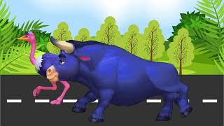 Animal Race Animal Parade Animal Stampede Near Jungle Race Animals