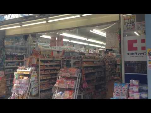 ドッグメディカル 豪徳寺 なみき動物診療所 世田谷区 周辺施設 口コミ 写真 動画