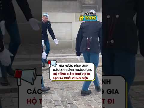 Video Hài hước hình ảnh các anh lính Hoàng Gia hộ tống các... - youtube
